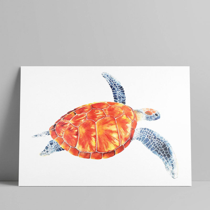 Louise Kanefuku - Tartaruga A3 - Circus Network Street Art and Illustration