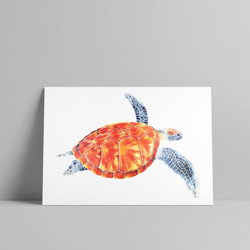 Louise Kanefuku - Tartaruga A4 - Circus Network Street Art and Illustration